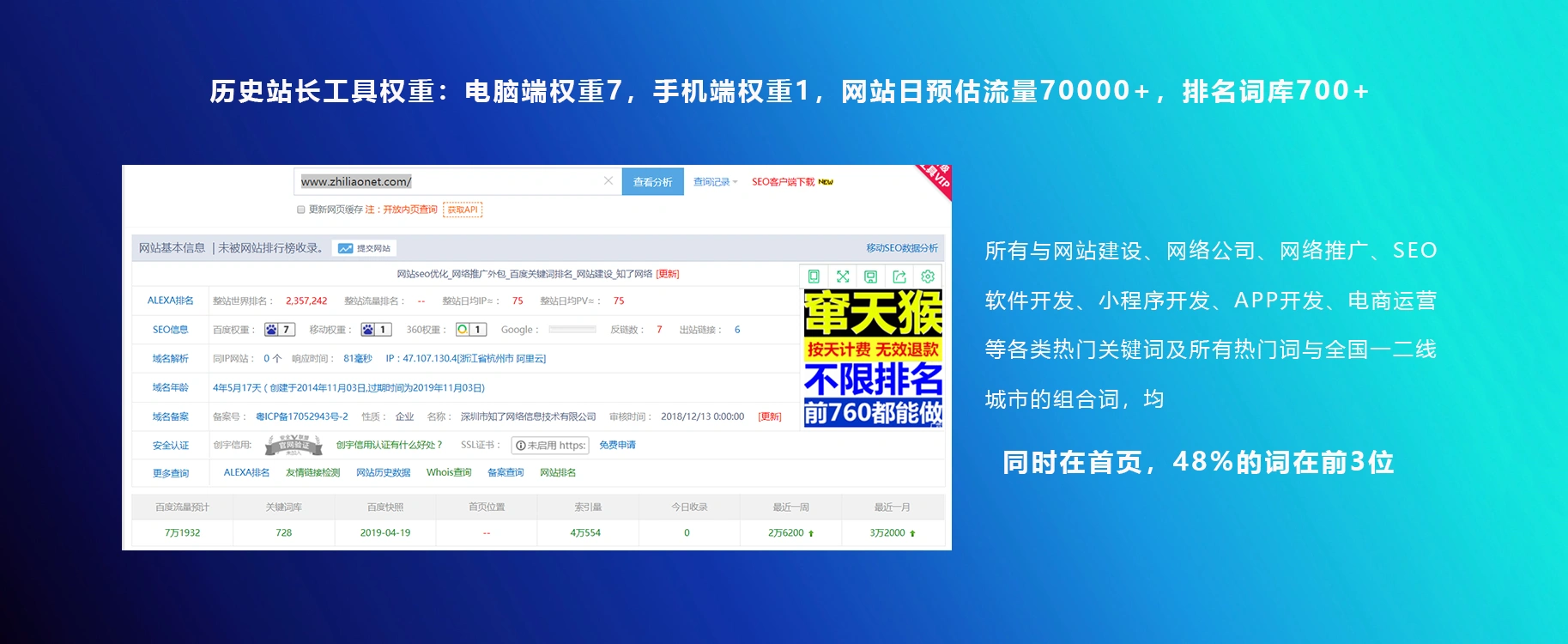 网站优化